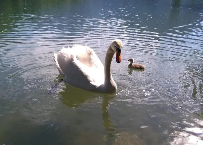 Anna Дом отдыха