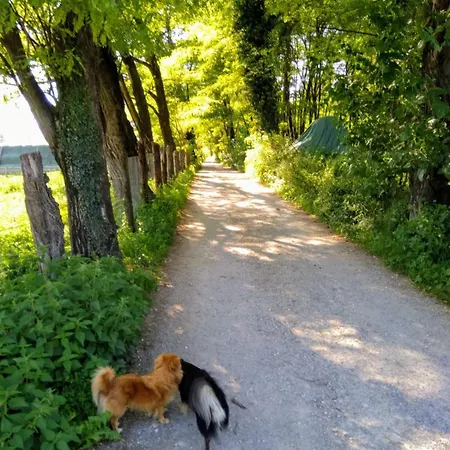 Anna Prázdninový dům *